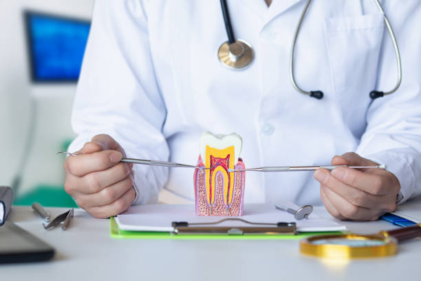 Best Urgent Care for Lost Fillings or Crowns in Hendron, KY